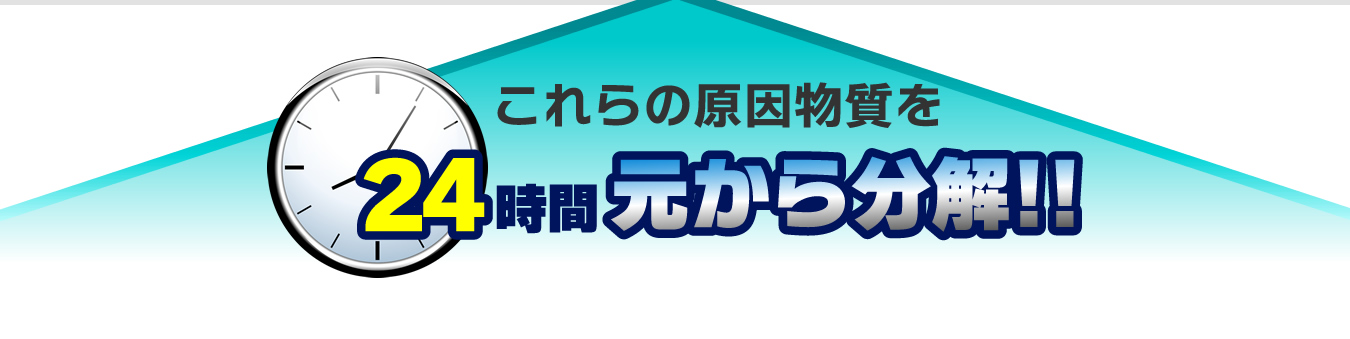 空気触媒カーフィール ｜ ネッツトヨタ京華